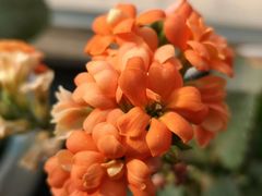 -派悦坊·甜品·蛋糕(日坛店)