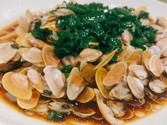 海瓜子-启东海鲜人家(古美路店)