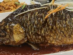 -津菜宋记老房子(鼓楼店)
