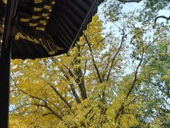 -汇龙潭