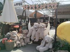 -京北渔家傲