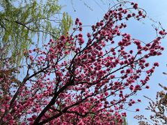 -元大都城垣遗址公园