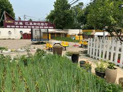 -Sultan pakistan苏单巴基斯坦