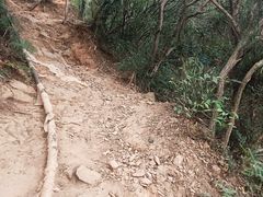 -杭州半山国家森林公园