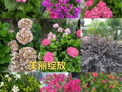 -龚家花园农家乐休闲别墅