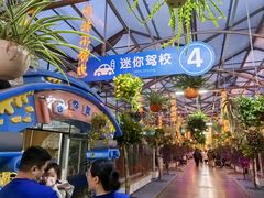 -南宫五洲植物乐园