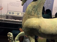 -广西壮族自治区博物馆