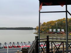 -上海海湾国家森林公园