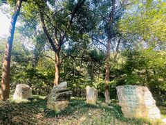 -敬亭山风景名胜区