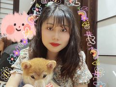 -逗柴咖啡屋·狗咖猫咖宠物桌游