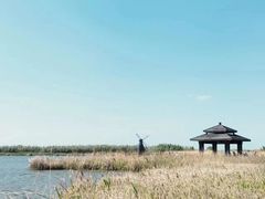 -宁波杭州湾国家湿地公园