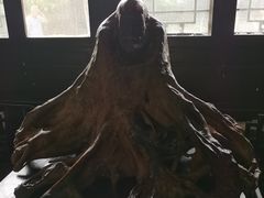 -王家大院