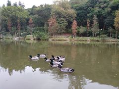 -云溪植物园