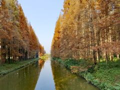 -黄海国家森林公园