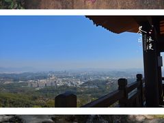 -大屏嶂森林公园