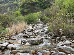 -终南山国家森林公园