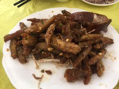 -姚林轩
