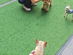 -瑞虹新天地月亮湾