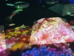 -超级奈尔宝SUPER NEOBIO(杭州星光店)