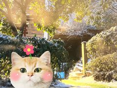 -江南天池高山汤泉城