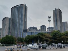 -广西体育中心-游泳馆