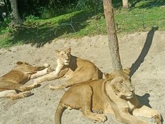 -北京野生动物园