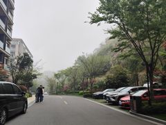 -舟山朱家尖绿城威斯汀度假酒店