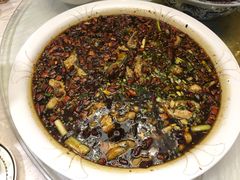 来凤鱼-西木兔(大圆祥店)