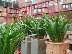 -秦美花卉(天朗·莱茵小城2期店)