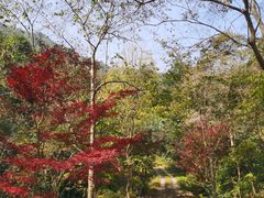 -黄公望隐居地