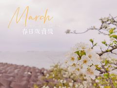 -上海滨江森林公园