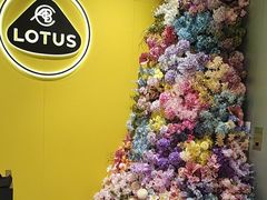 -莲花跑车(国贸商城店)