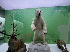 -国家自然博物馆
