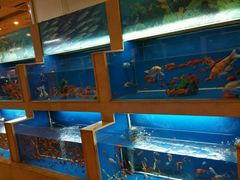 android_upload_pic-品湘楼(方庄店)