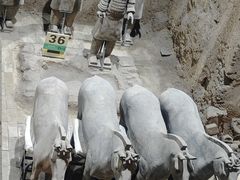 -秦始皇帝陵博物院(兵马俑)