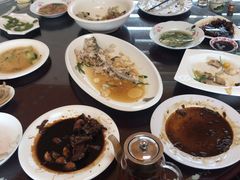 -南汇新场正宗水蜜桃采摘
