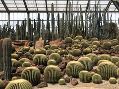 -南通洲际绿博园