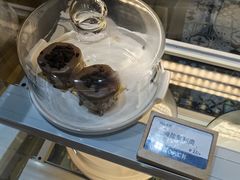 -Torch Coffee 炬点咖啡
