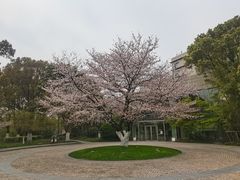 -阳澄湖费尔蒙酒店