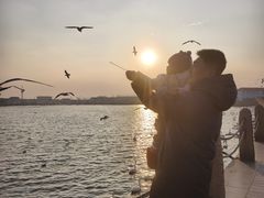 -烟墩角天鹅湖