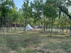 -济南国际园博园