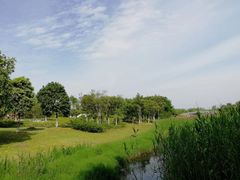 -尚贤河湿地