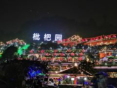 -枇杷园食为鲜火锅(南山店)