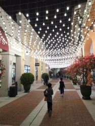 -奇幻丛林(佛罗伦萨小镇店)