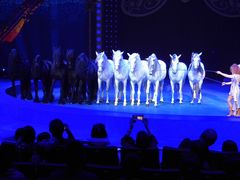 -珠海横琴长隆《卡卡虎奇遇记》