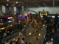 -国家自然博物馆