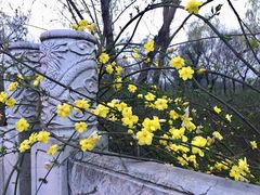 -东南大学(九龙湖校区)