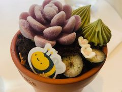 -哈根达斯(龙湖时代天街店)