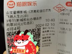 -山文星辉影城(济南和谐广场店)