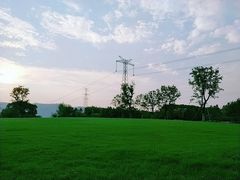 -长田漾湿地公园